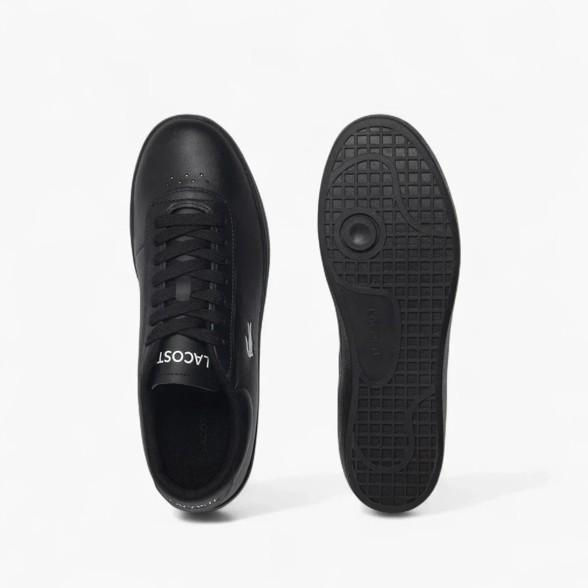 Baseshot Evo Leather Sneakers