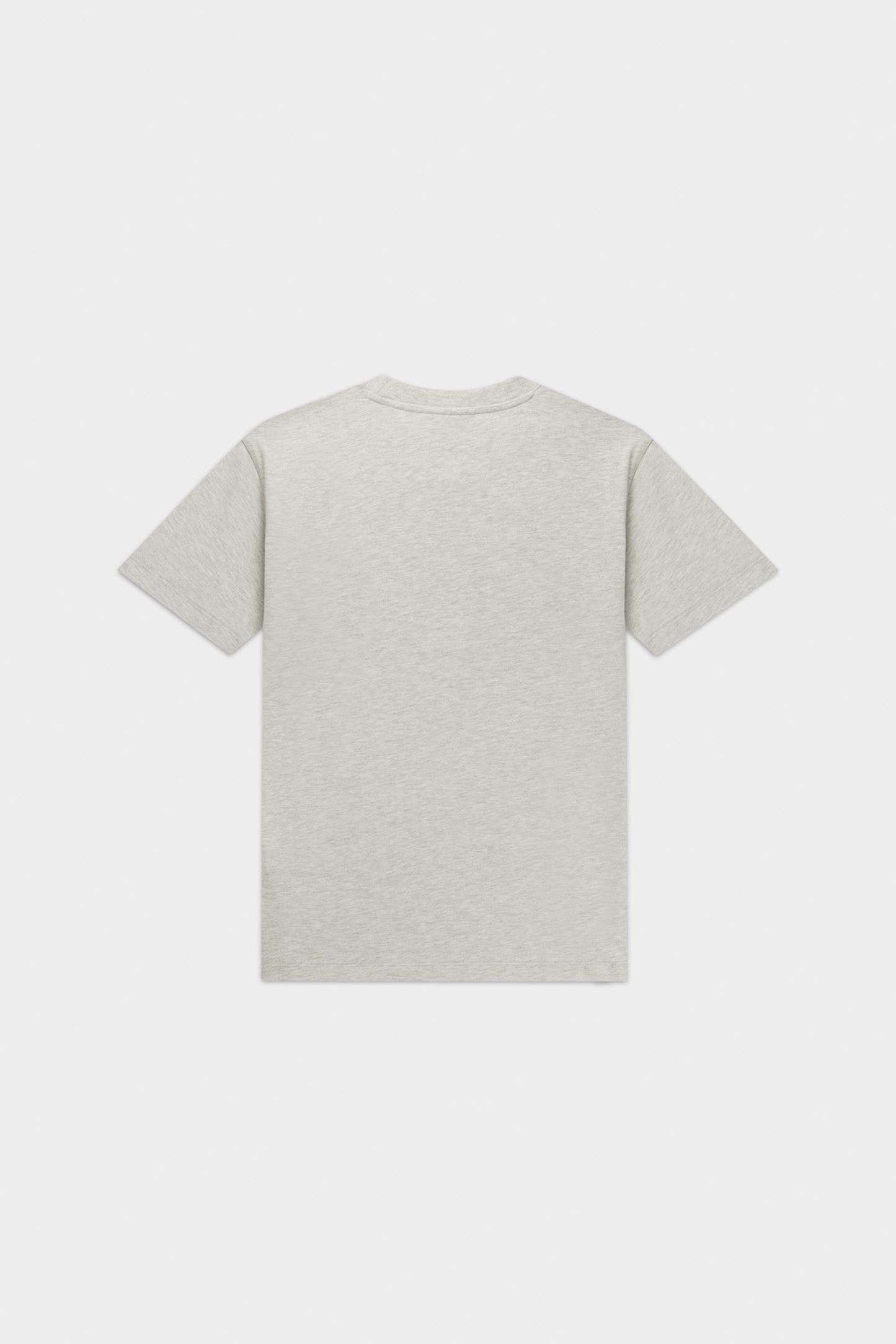Logo T-Shirt Lt Grey Melange