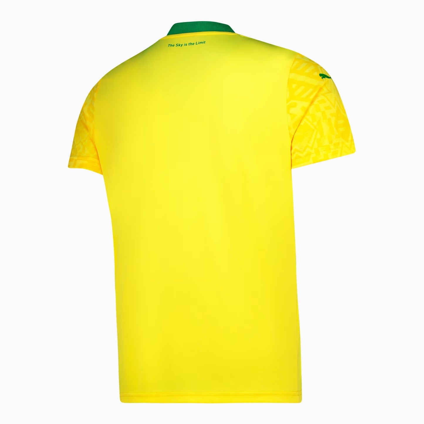 Mamelodi Sundowns Mens Home Replica 24/25
