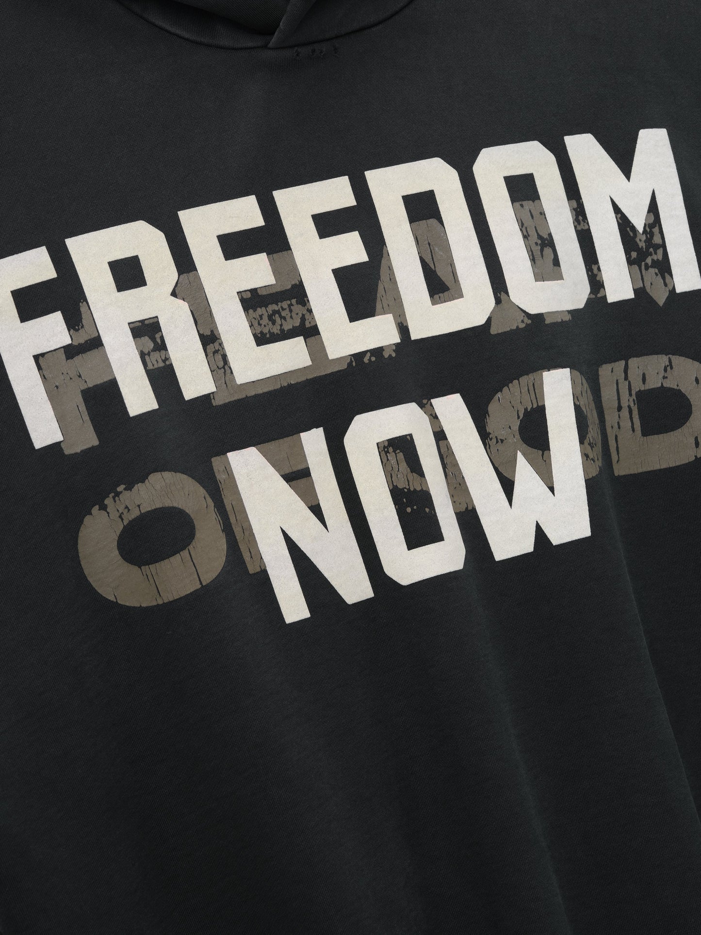 Freedom Now Hoodie