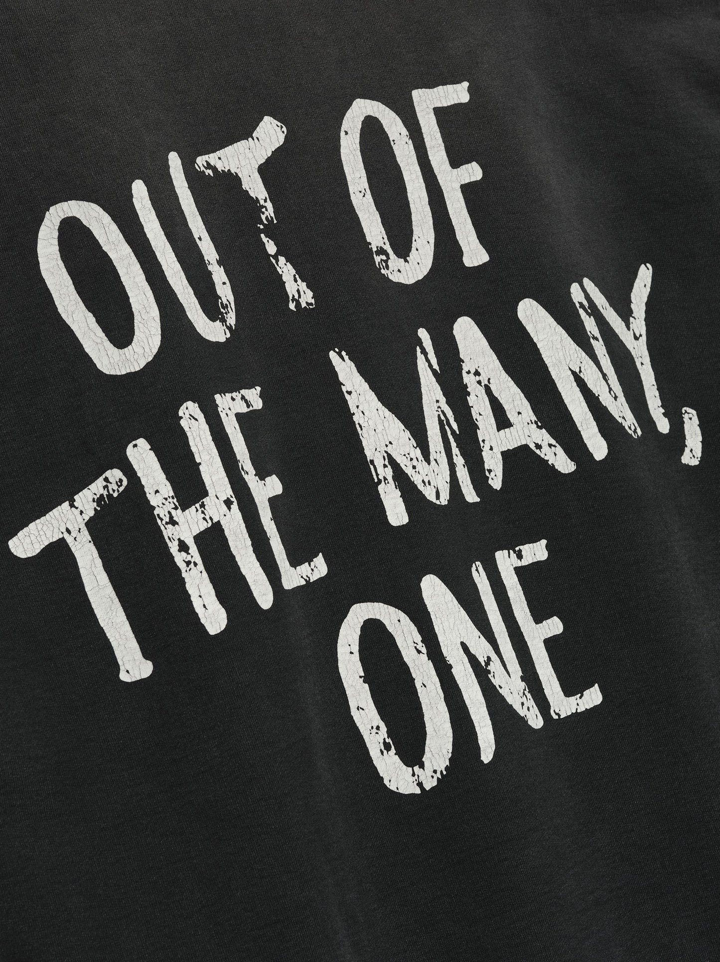 "Out Of Many, One" Hoodie