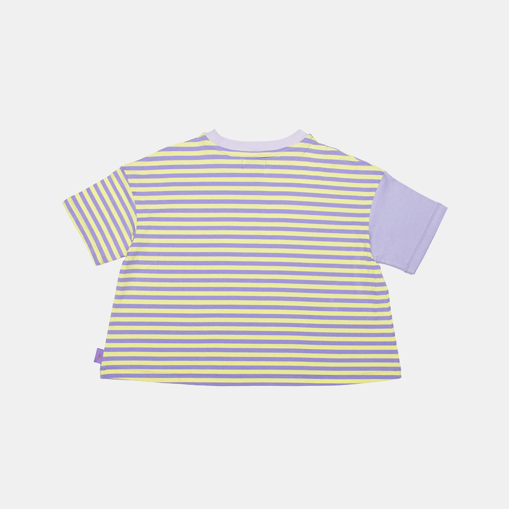 Cropped Stripe Block T-Shirt (W)