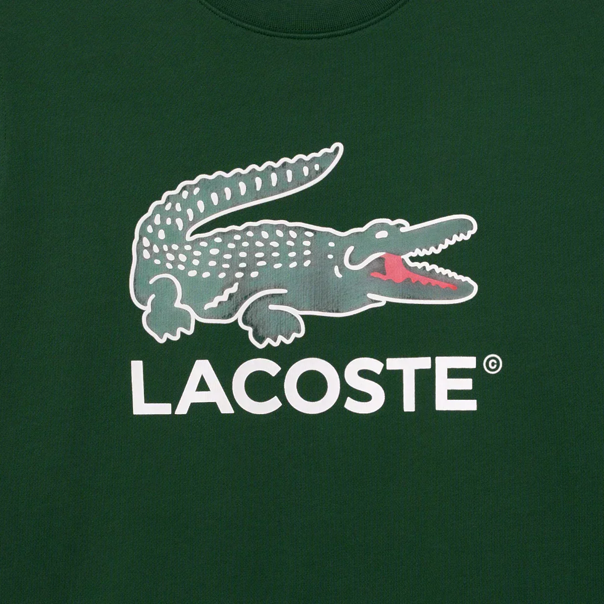 Fleece Crew Neck Sweatshirt