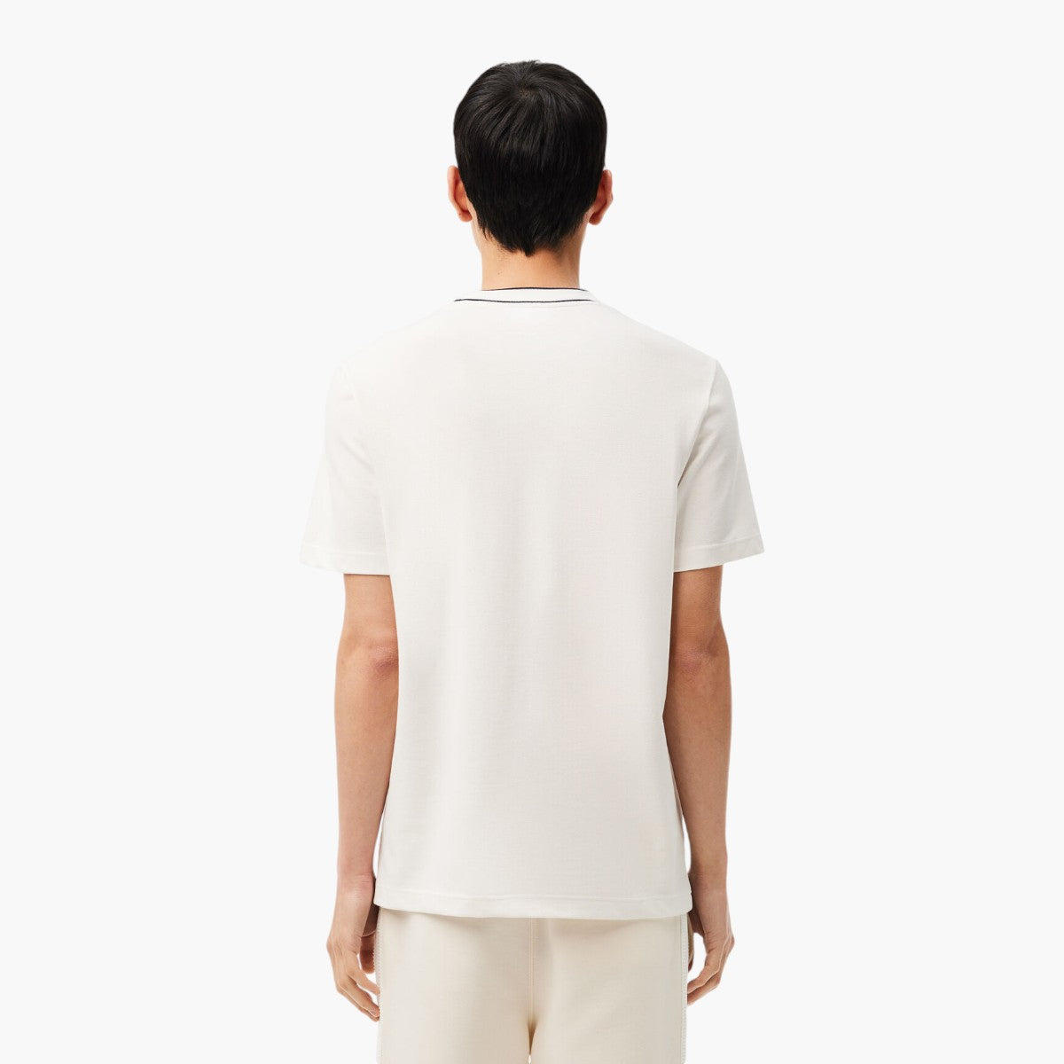 Pique Stripe Collar T-Shirt