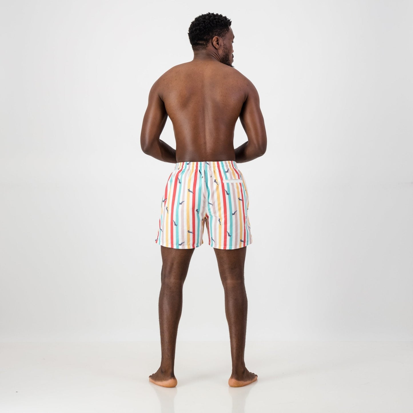 Springboks Candy Stripe Swim Short-White