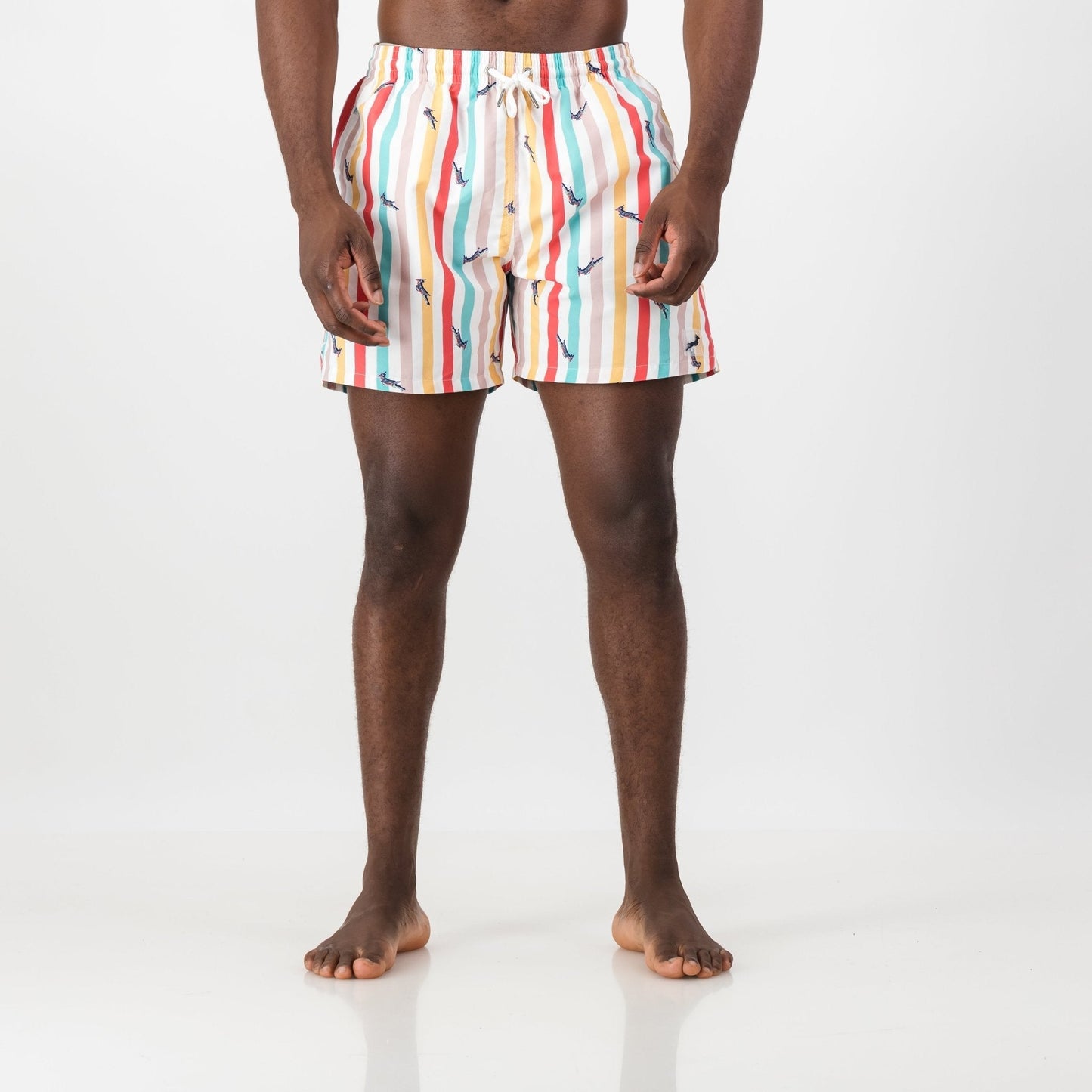Springboks Candy Stripe Swim Short-White