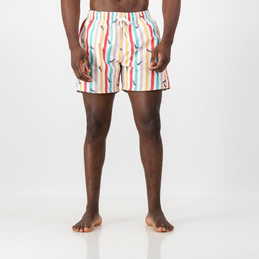 Springboks Candy Stripe Swim Short-White