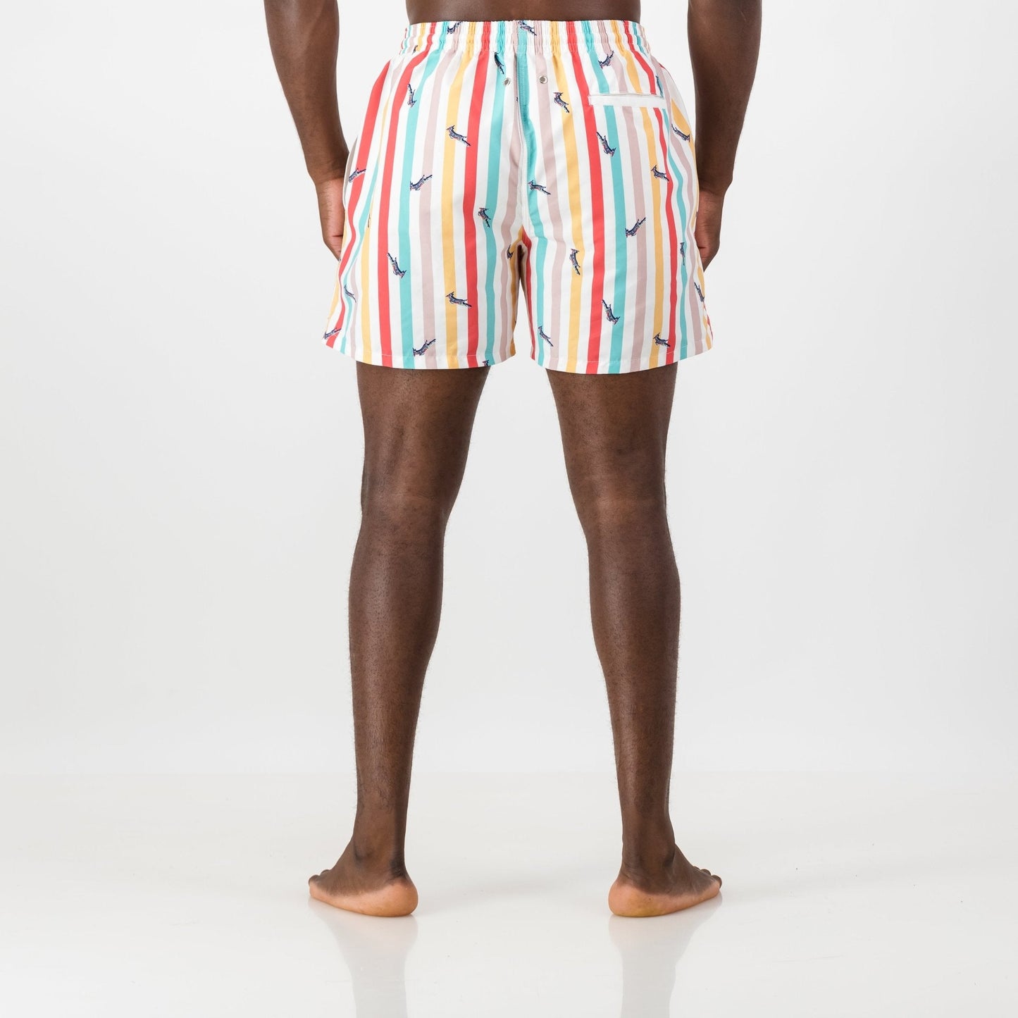 Springboks Candy Stripe Swim Short-White